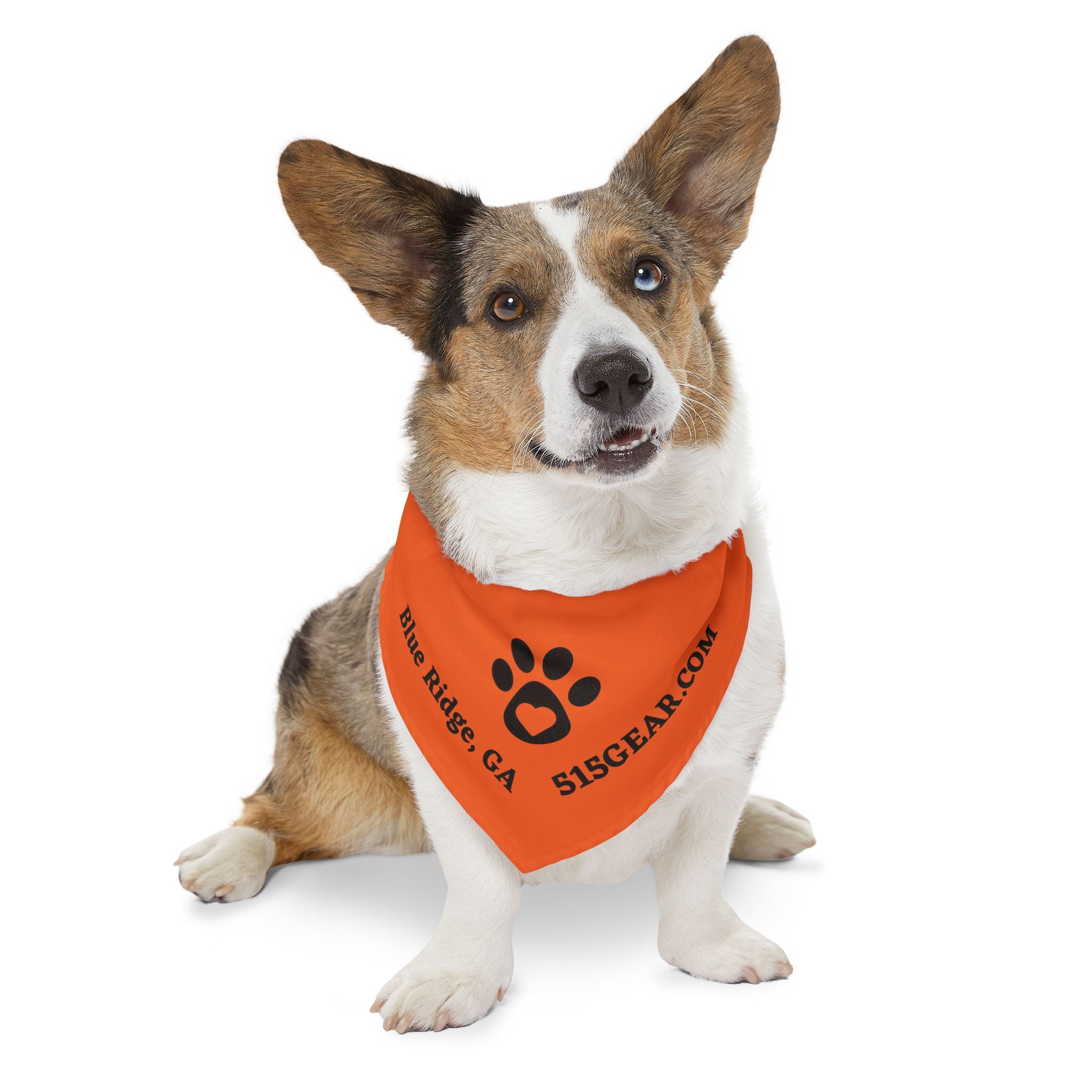 Blue Ridge - Orange 515Gear Pet Bandana Collar
