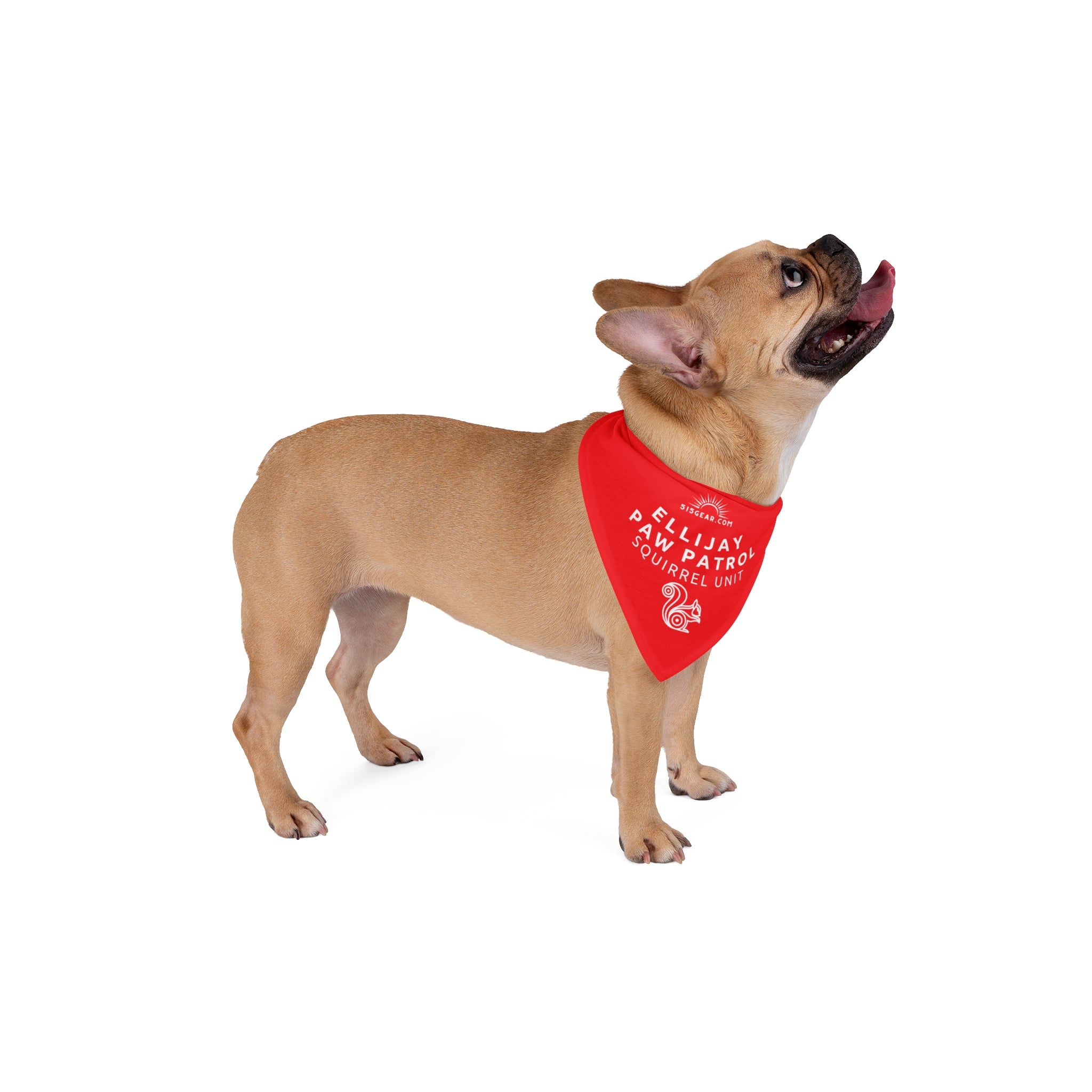 Dog Bandana, by 515 Gear.com | Hiawassee, GA | For your squirrel patrol dog!