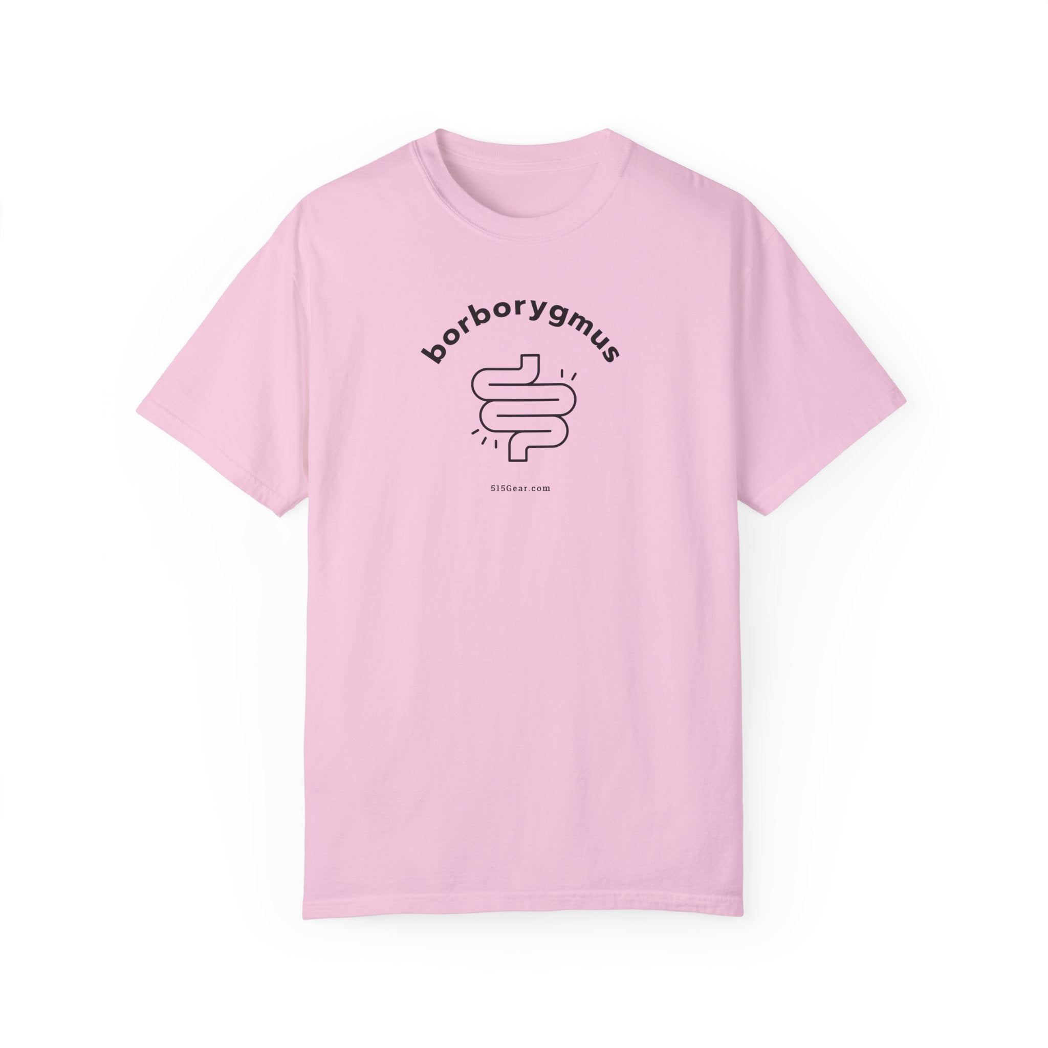 Word Fun: borborygmus - Garment-Dyed T-shirt