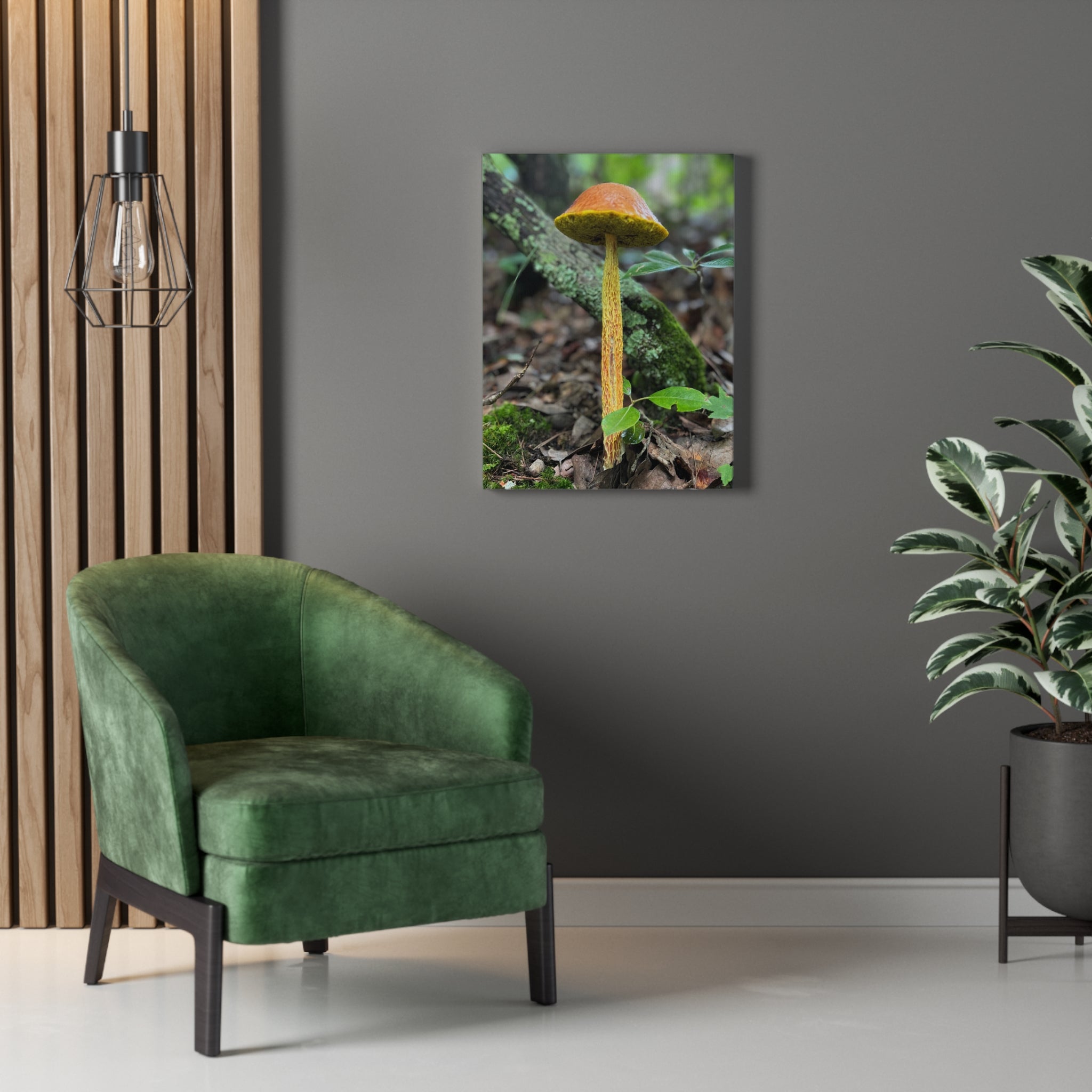 Wild Mushroom Print, stretched cotton canvas print | by 515Gear.com | North Georgia Beckons