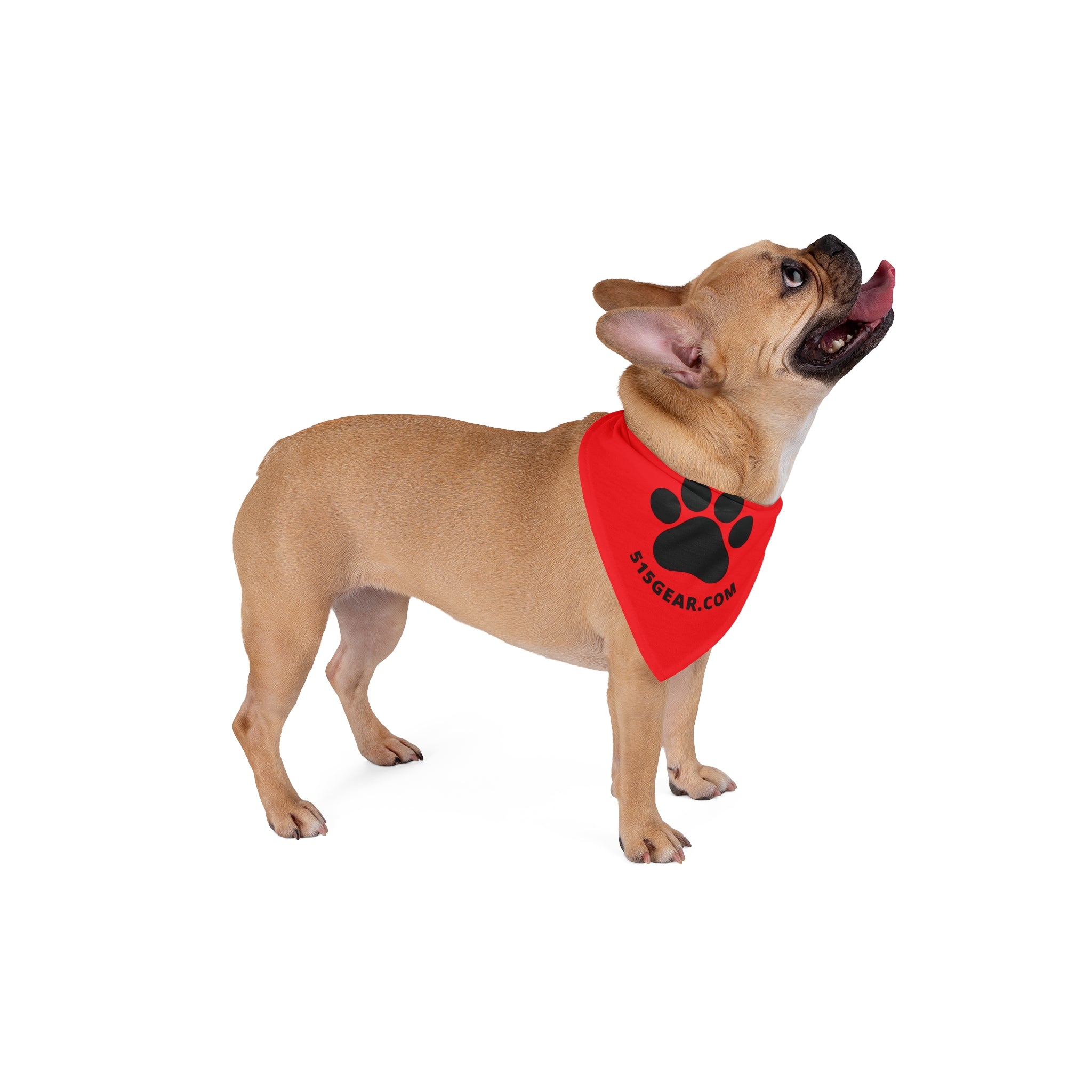 Dog Bandana | 515 Gear.com | Red Bling for your favorite furry friend!
