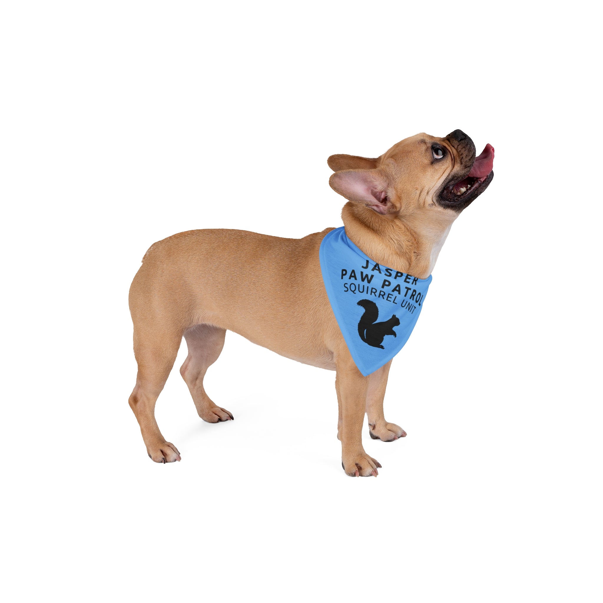 Jasper Paw Patrol: Squirrel Unit Bandana
