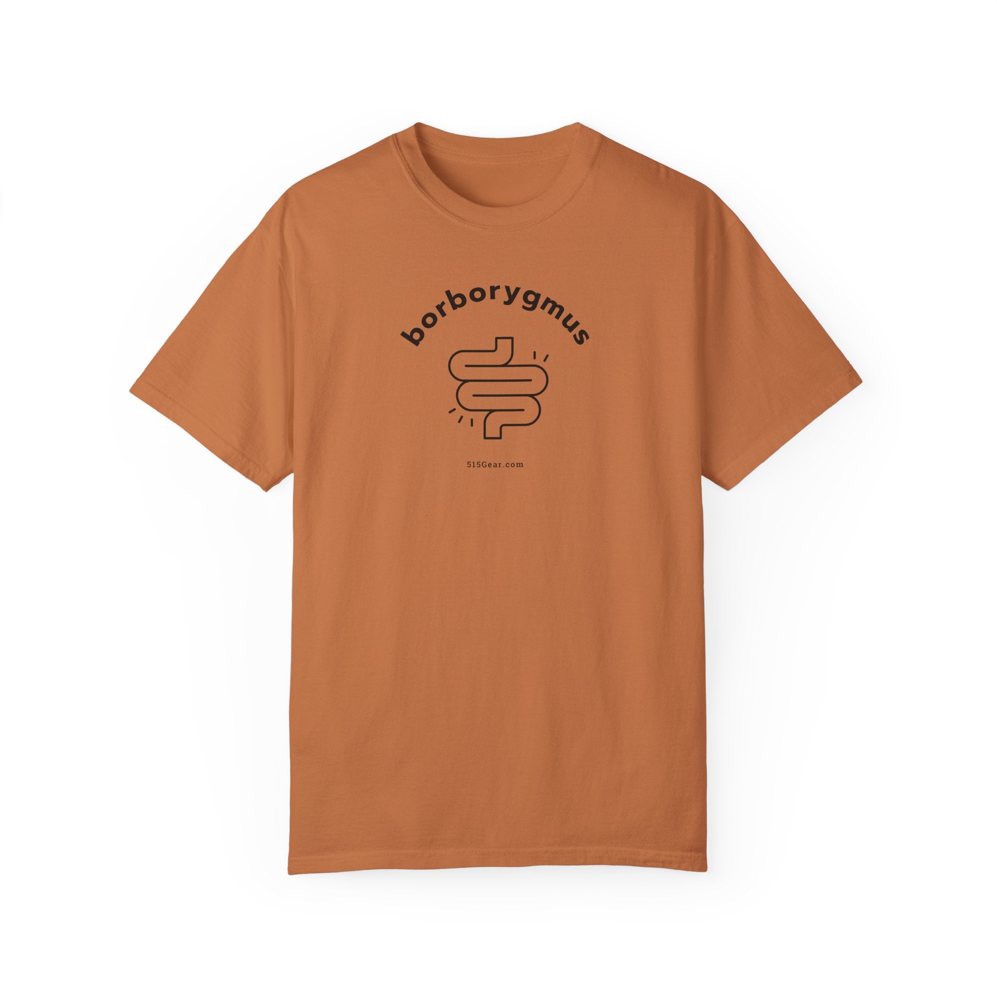Word Fun: borborygmus - Garment-Dyed T-shirt