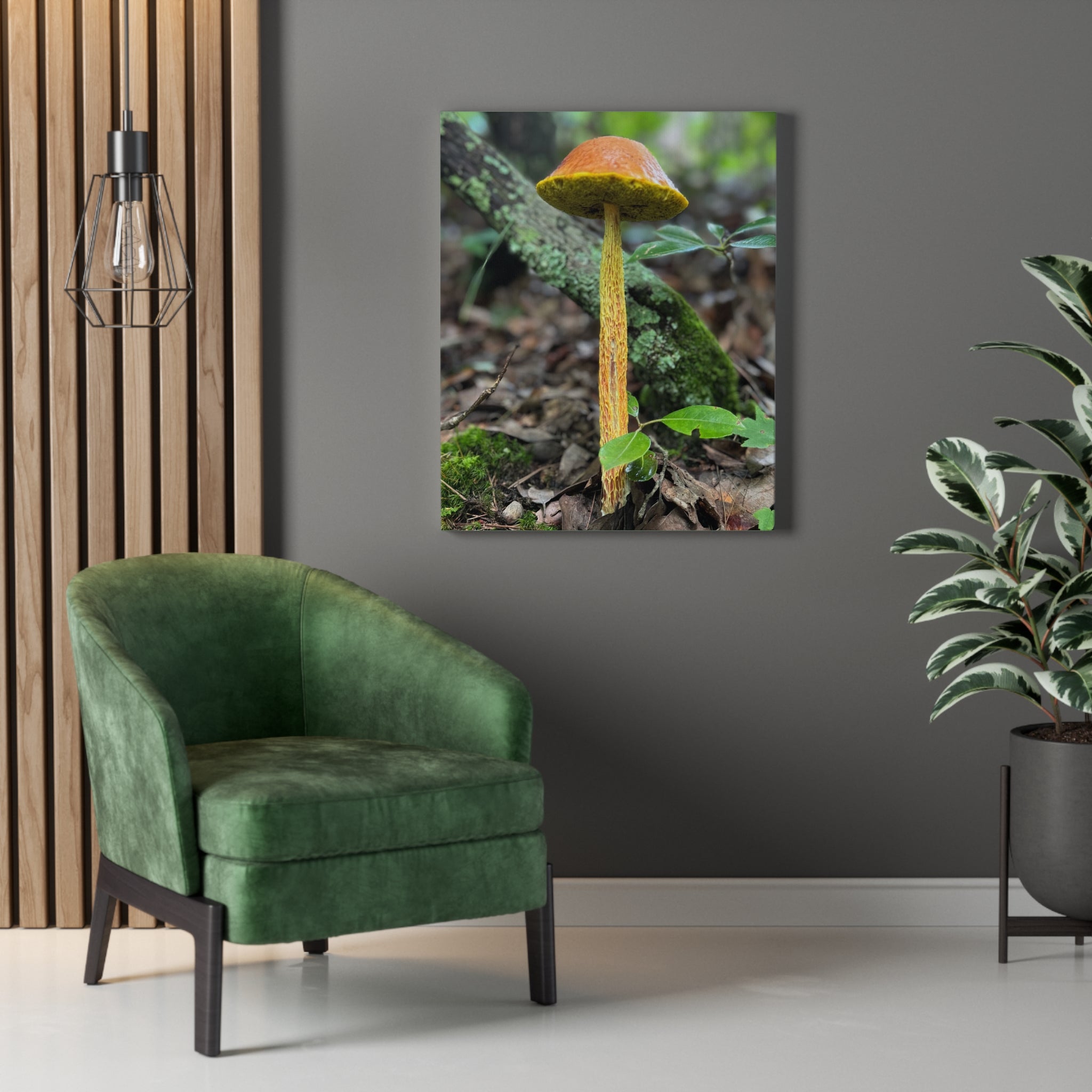Wild Mushroom Print, stretched cotton canvas print | by 515Gear.com | North Georgia Beckons