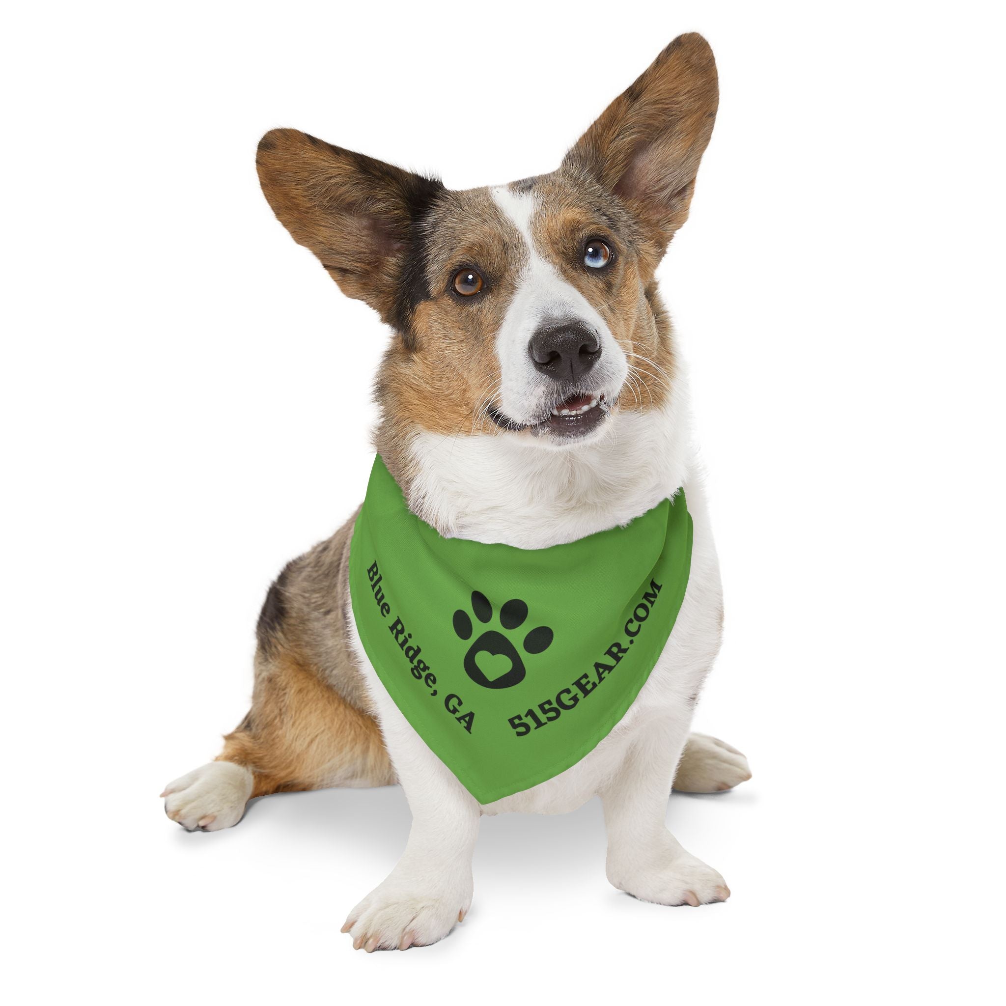 Dog Bandana, by 515 Gear.com | Blue Ridge, GA | Green Bling for your favorite pup!