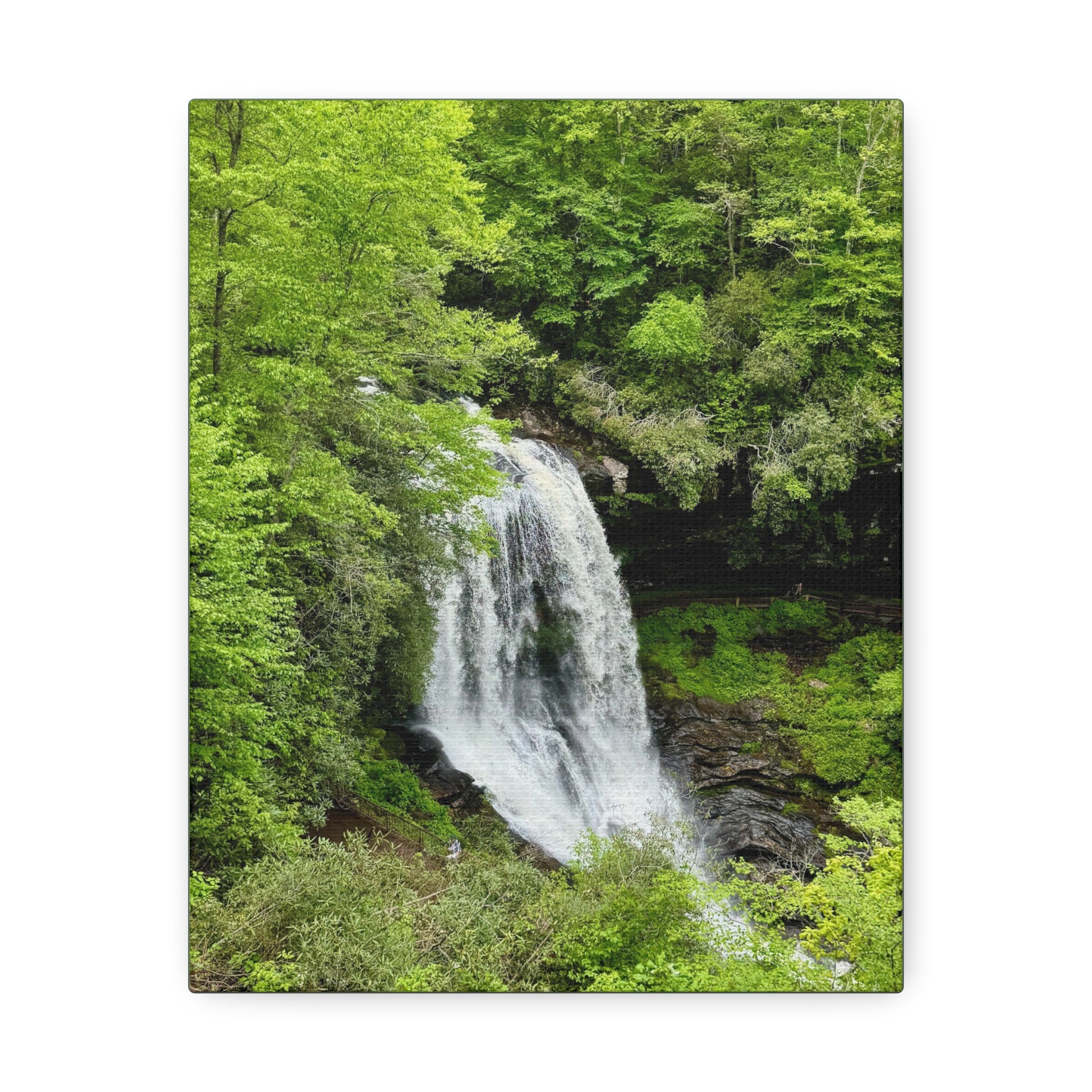 Ellijay, Waterfall in a lush green forest, by 515Gear.com