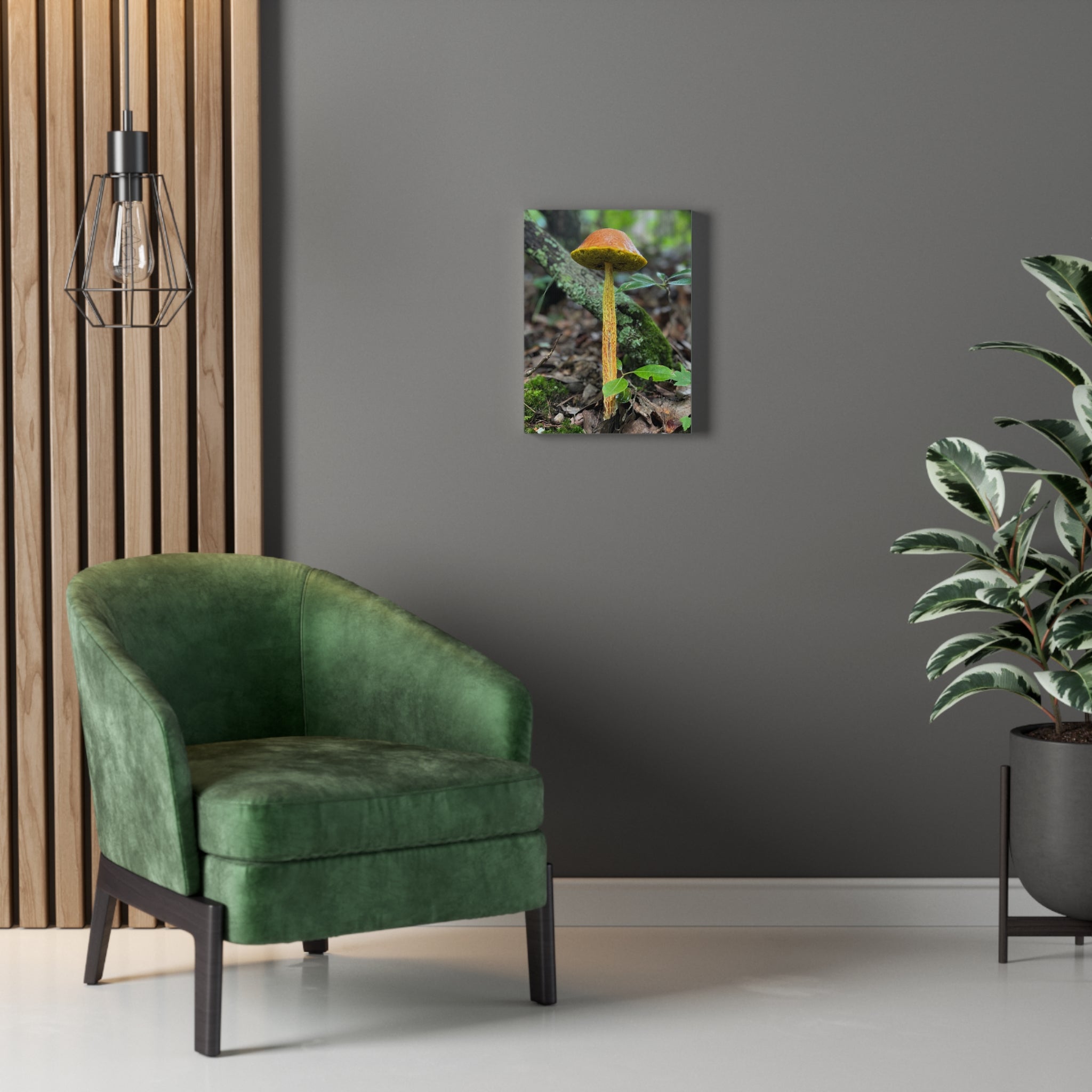 Wild Mushroom Print, stretched cotton canvas print | by 515Gear.com | North Georgia Beckons