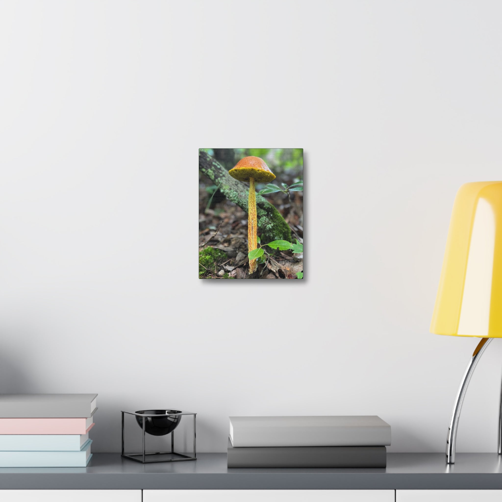 Wild Mushroom Print, stretched cotton canvas print | by 515Gear.com | North Georgia Beckons