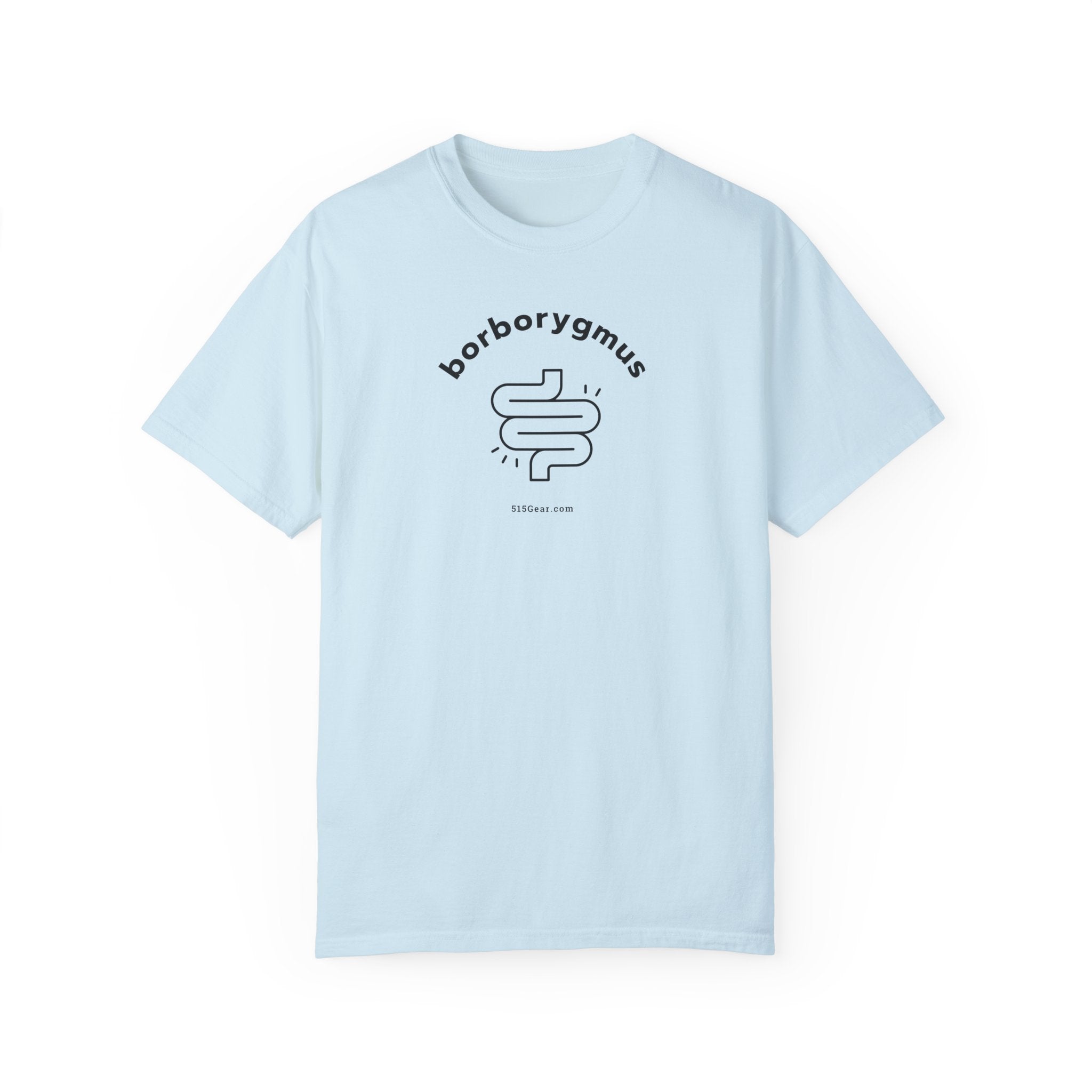 Word Fun: borborygmus - Garment-Dyed T-shirt