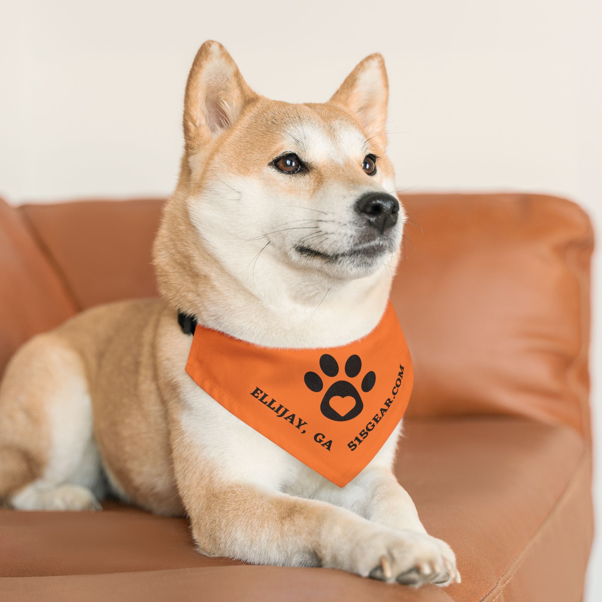 Dog Bandana, by 515 Gear.com | Ellijay, GA | Orange Bling for your favorite pup!