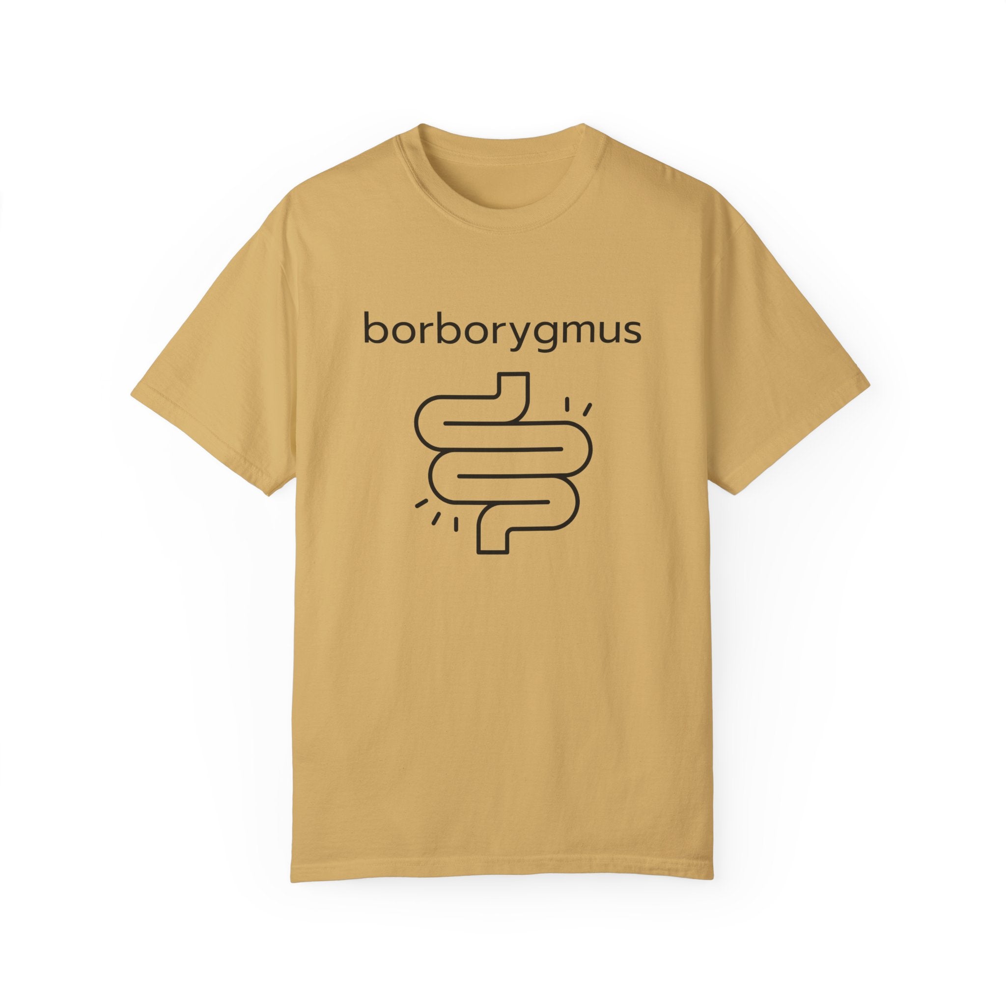 Word Fun: borborygmus - Garment-Dyed T-shirt