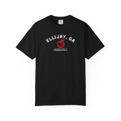 Ellijay Apple - Comfort Colors Unisex Garment-Dyed T-shirt