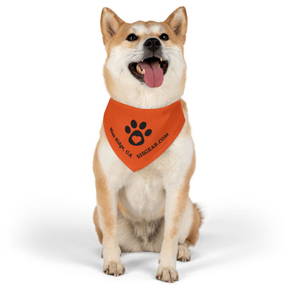 Dog Bandana, by 515 Gear.com | Blue Ridge, GA |  Orange Bling for your favorite pup!