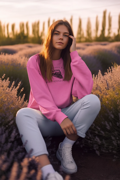 Person wearing a pink kids sweatshirt with train graphic and text "All Aboard, Y'all - Blue Ridge, GA" sitting in a lavender field at sunset