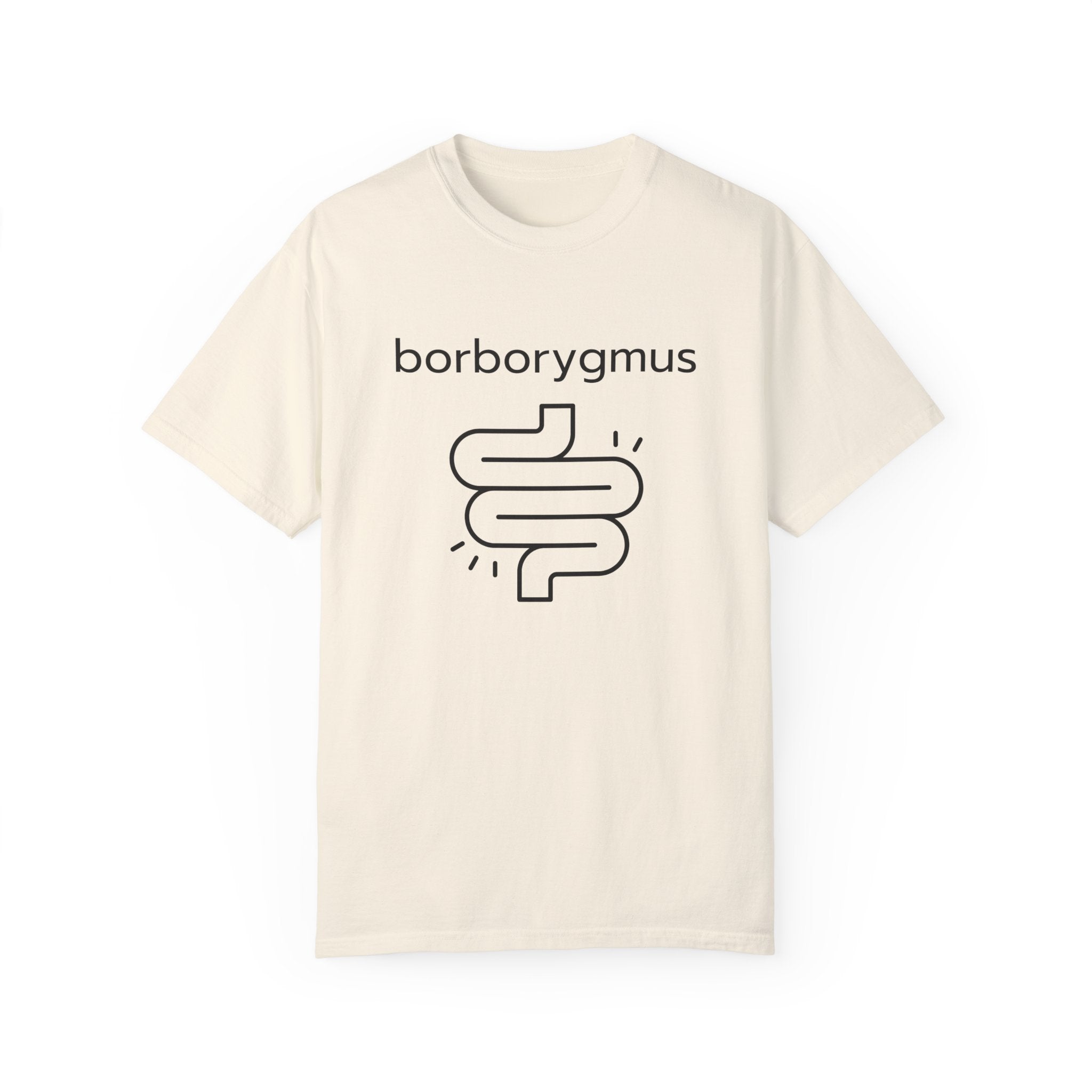 Word Fun: borborygmus - Garment-Dyed T-shirt