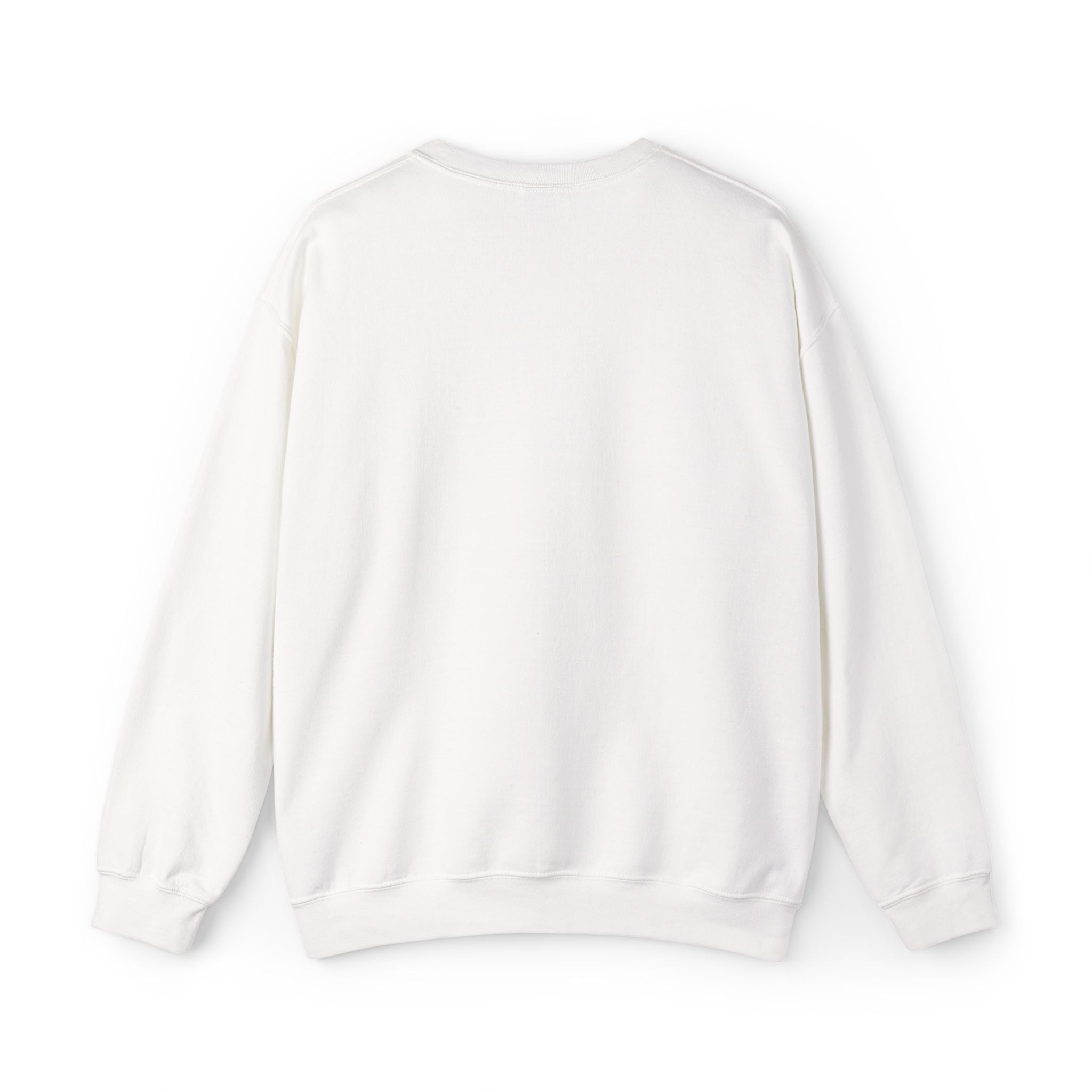 Color Me Ellijay Unisex Embroidered Sweatshirt