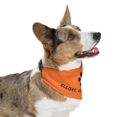 Dog Bandana, by 515 Gear.com | Ellijay, GA |  Orange Bling for your favorite pup!