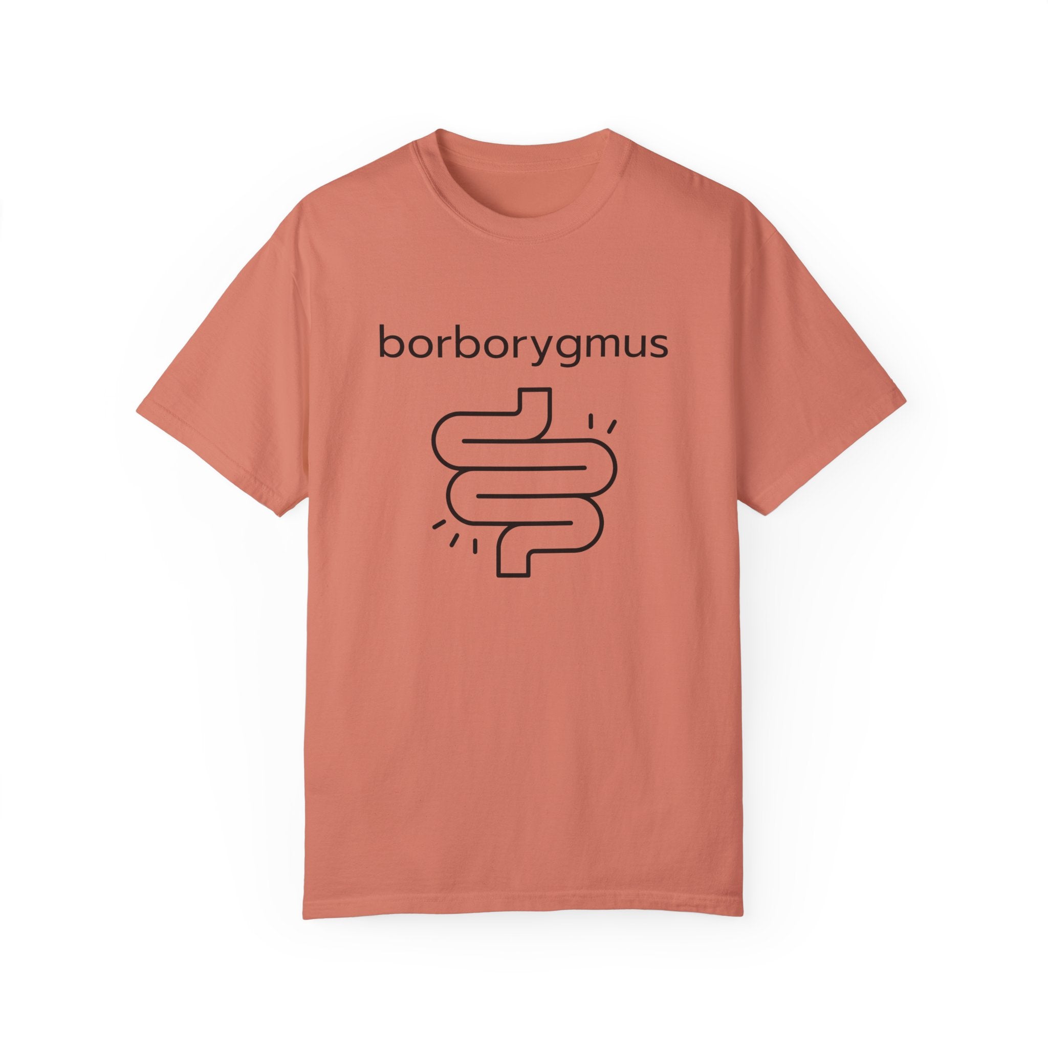 Word Fun: borborygmus - Garment-Dyed T-shirt