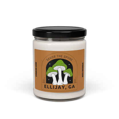 Ellijay Scented Soy Candle, 9oz