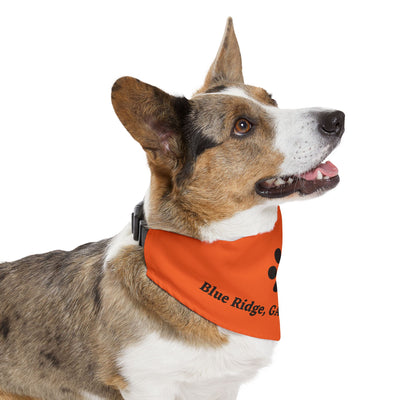 Dog Bandana, by 515 Gear.com | Blue Ridge, GA |  Orange Bling for your favorite pup!