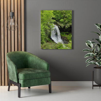 The Blue Ridge Mountains - Waterfall Canvas