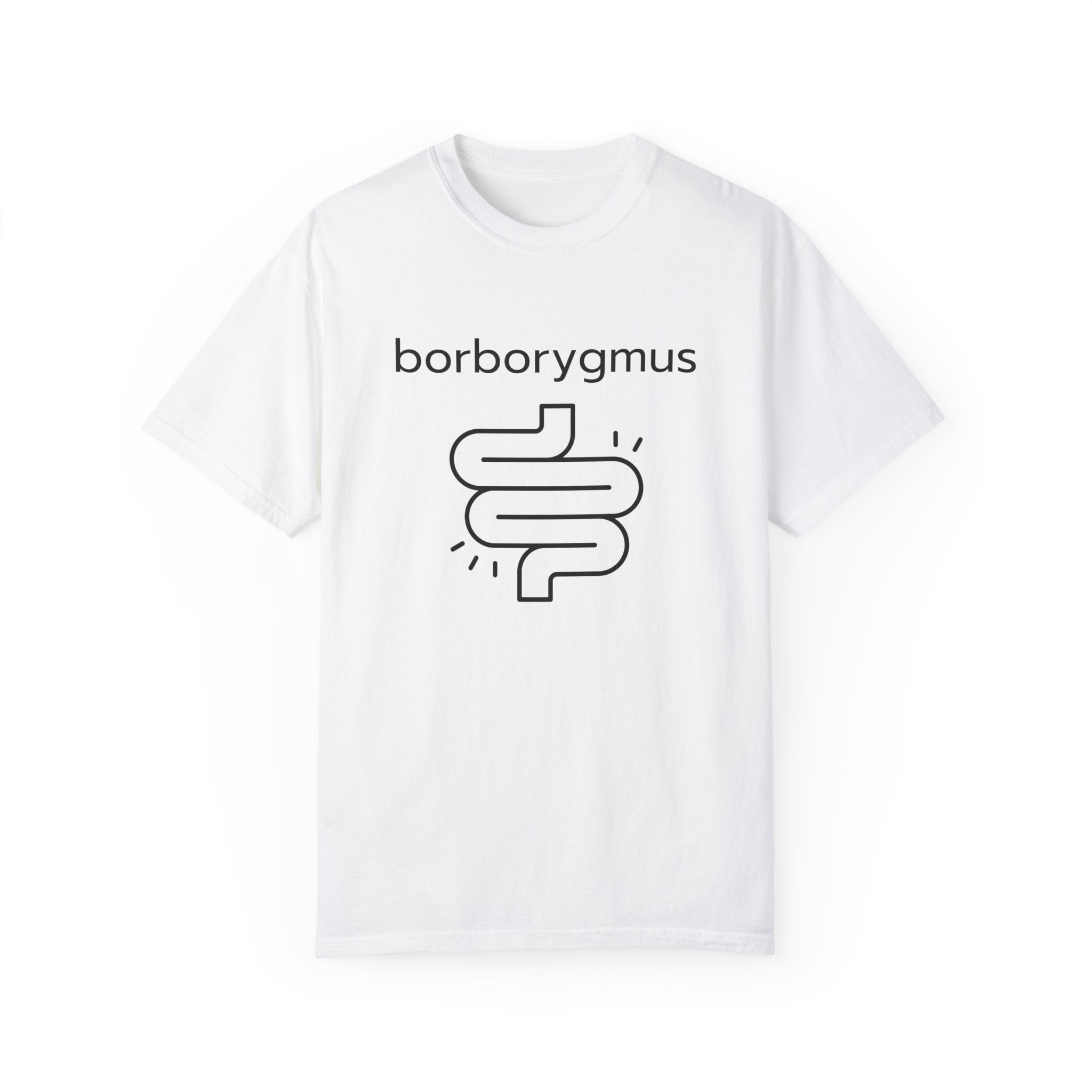 Word Fun: borborygmus - Garment-Dyed T-shirt